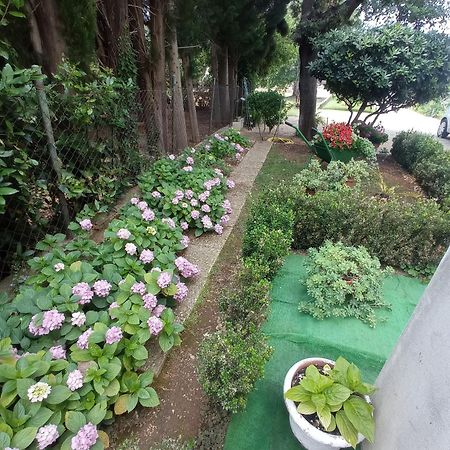 Apartmani Gaga Bibinje Εξωτερικό φωτογραφία