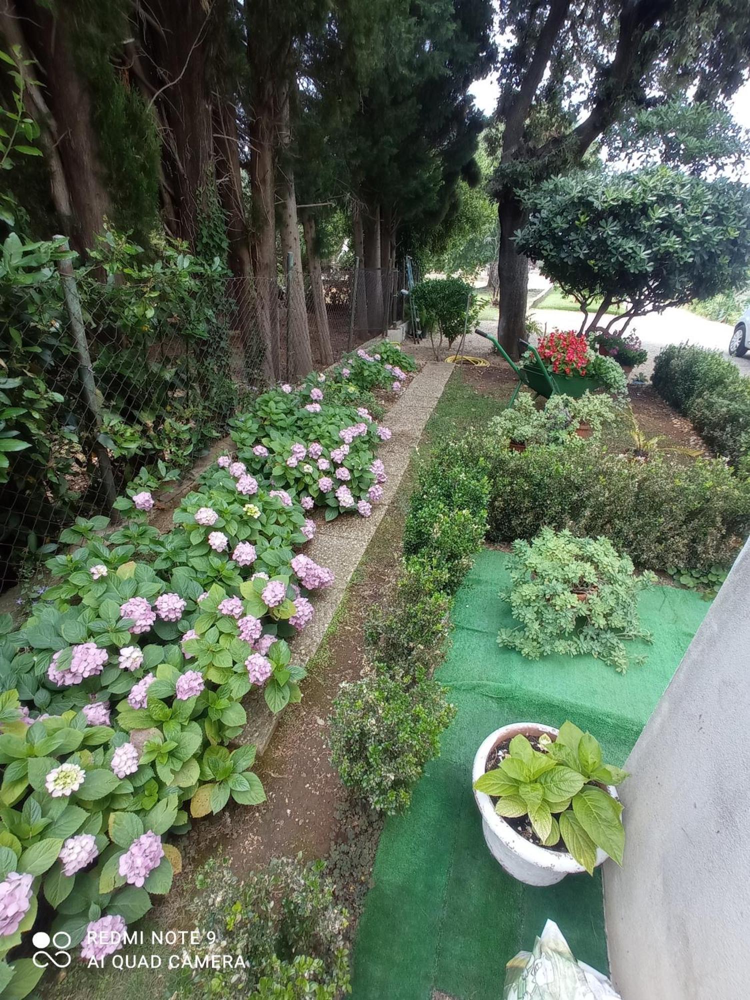 Apartmani Gaga Bibinje Εξωτερικό φωτογραφία
