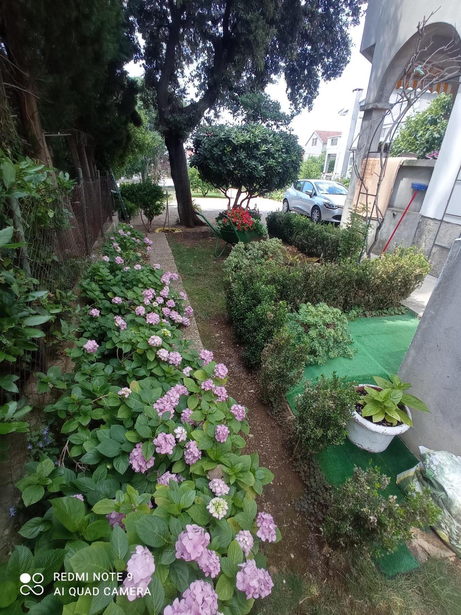 Apartmani Gaga Bibinje Εξωτερικό φωτογραφία